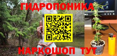 MDMA Premium VHQ Гай