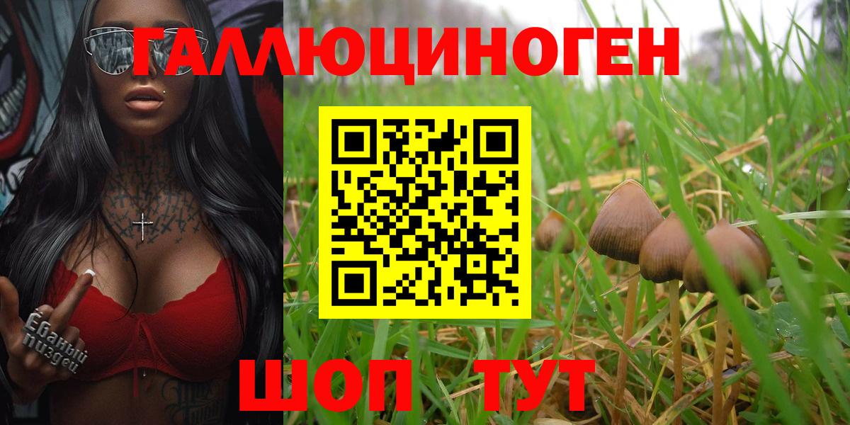 Галлюциногенные грибы Magic Shrooms  Вход с VPN  Екатеринбург 
